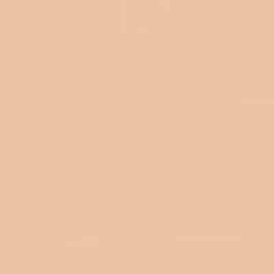 Dior Forever* Natural Velvet Compact Foundation Dior Forever* Natural Velvet Compact Foundation - Image 3