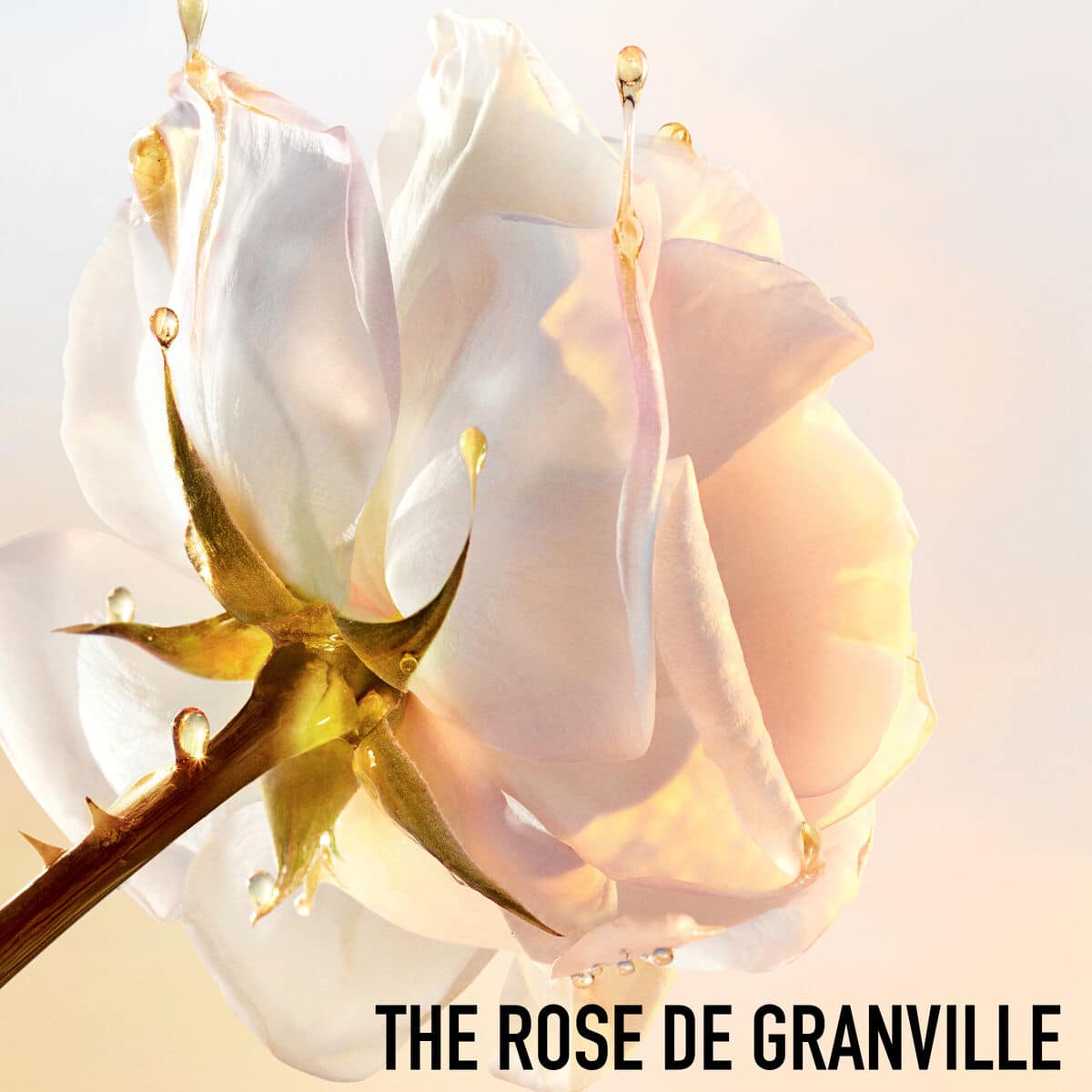 Dior Prestige* Le Sucre de Gommage Face Scrub Dior Prestige* Le Sucre de Gommage Face Scrub - Image 4