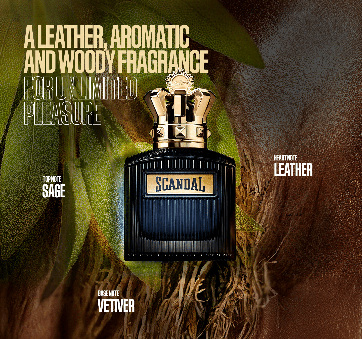 Jean Paul Gaultier Scandal Pour Homme Intense Jean Paul Gaultier Scandal Pour Homme Intense - Image 6