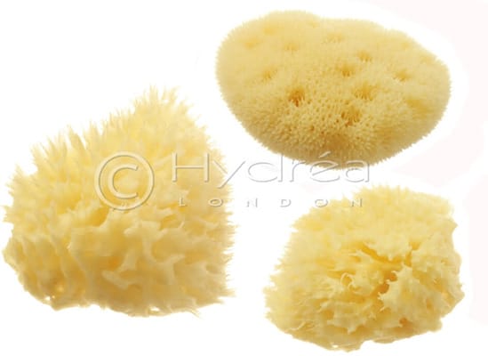 Hydrea London Cosmetic Sea Sponge Set