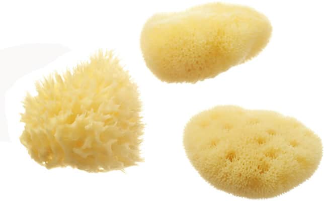 Hydrea London Cosmetic Sea Sponge Set Hydrea London Cosmetic Sea Sponge Set