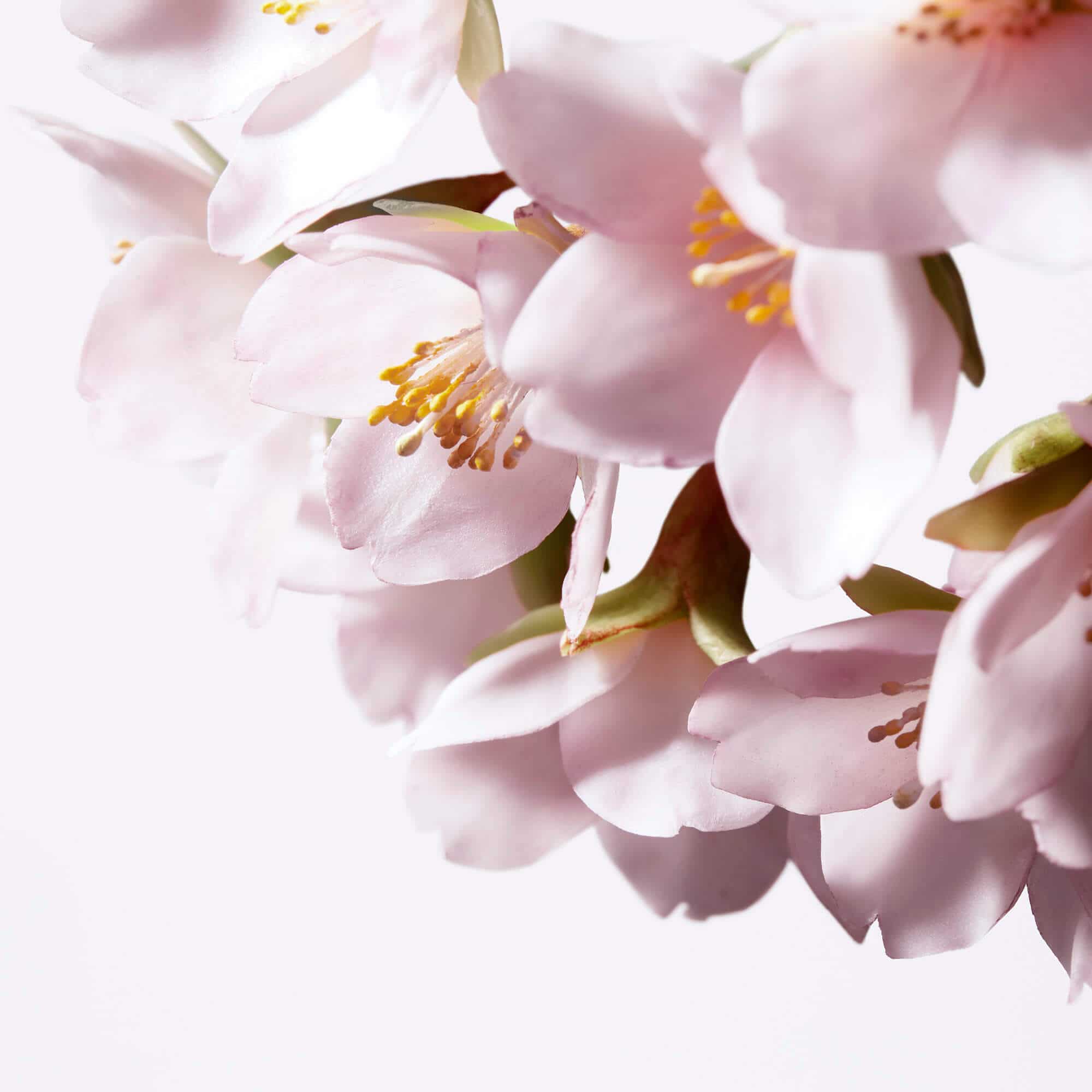 Shiseido White Lucent Illuminating Micro Serum Shiseido White Lucent Illuminating Micro Serum - Image 3