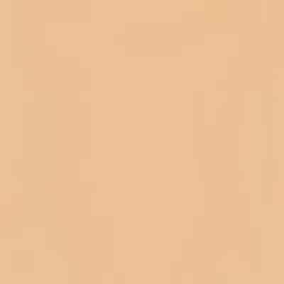 Sisley Sisleya Le Teint Sisley Sisleya Le Teint - Image 3