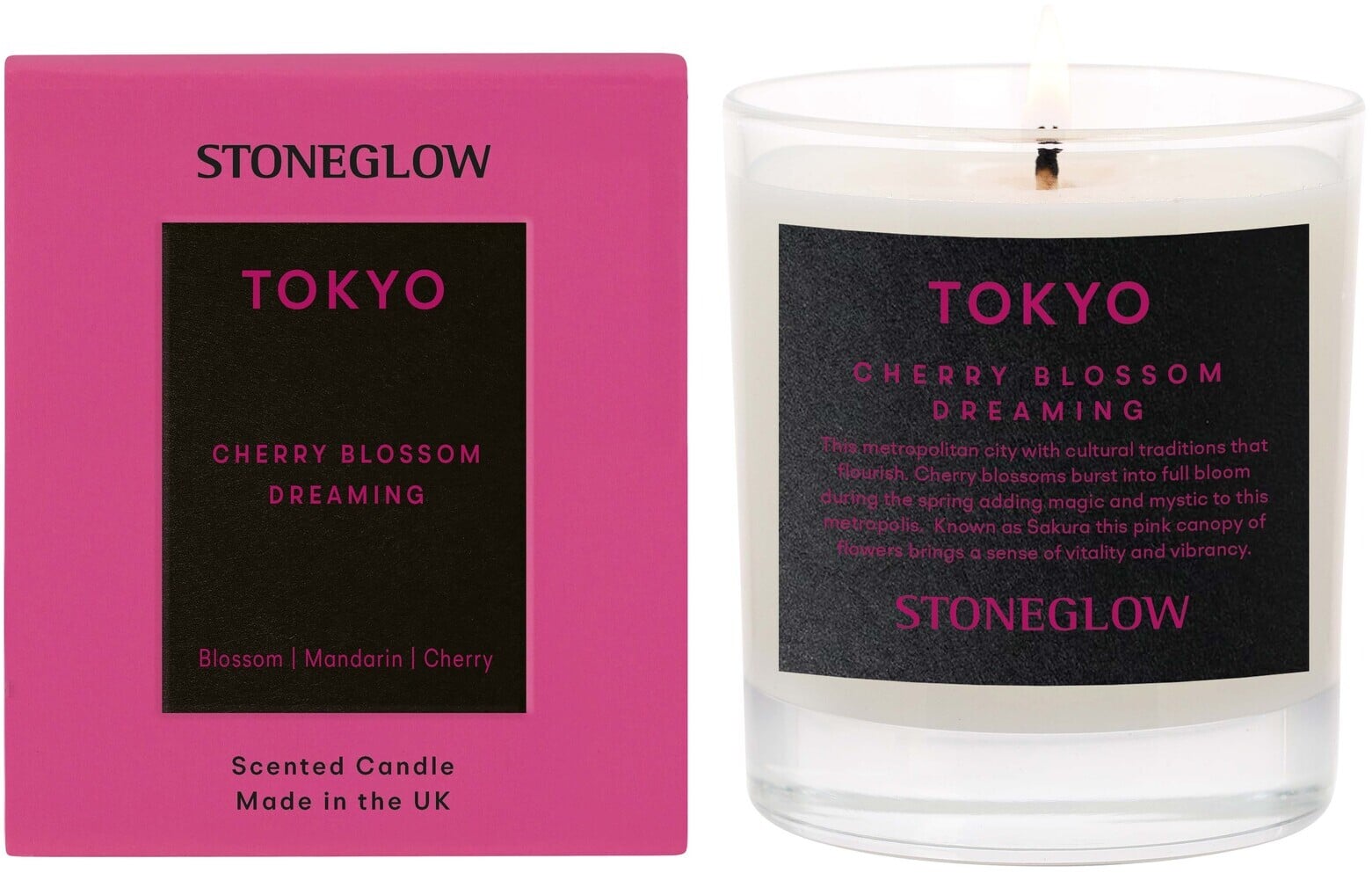 StoneGlow Explorer - Tokyo - Cherry Bloosom Dreaming - Tumbler