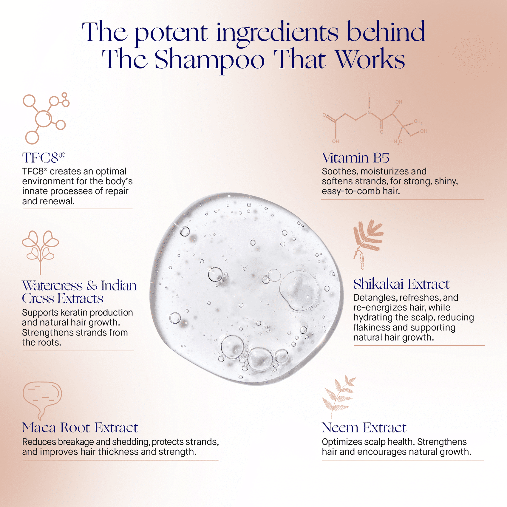 Augustinus Bader* The Shampoo Augustinus Bader* The Shampoo - Image 3