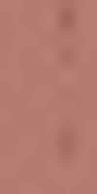 Sisley Phyto-Lip Twist Sisley Phyto-Lip Twist - Image 2