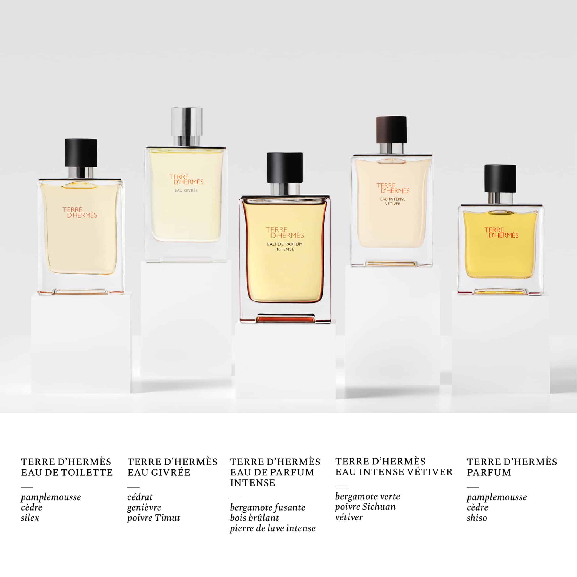 Terre d’Hermès, Eau de Toilette Terre d'Hermès, Eau de Toilette - Image 5