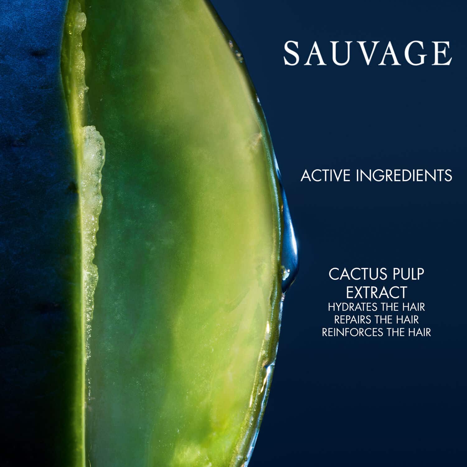 Sauvage* Hydrating Shampoo Hydrating and Softening Men’s Shampoo Sauvage* Hydrating Shampoo Hydrating and Softening Men’s Shampoo