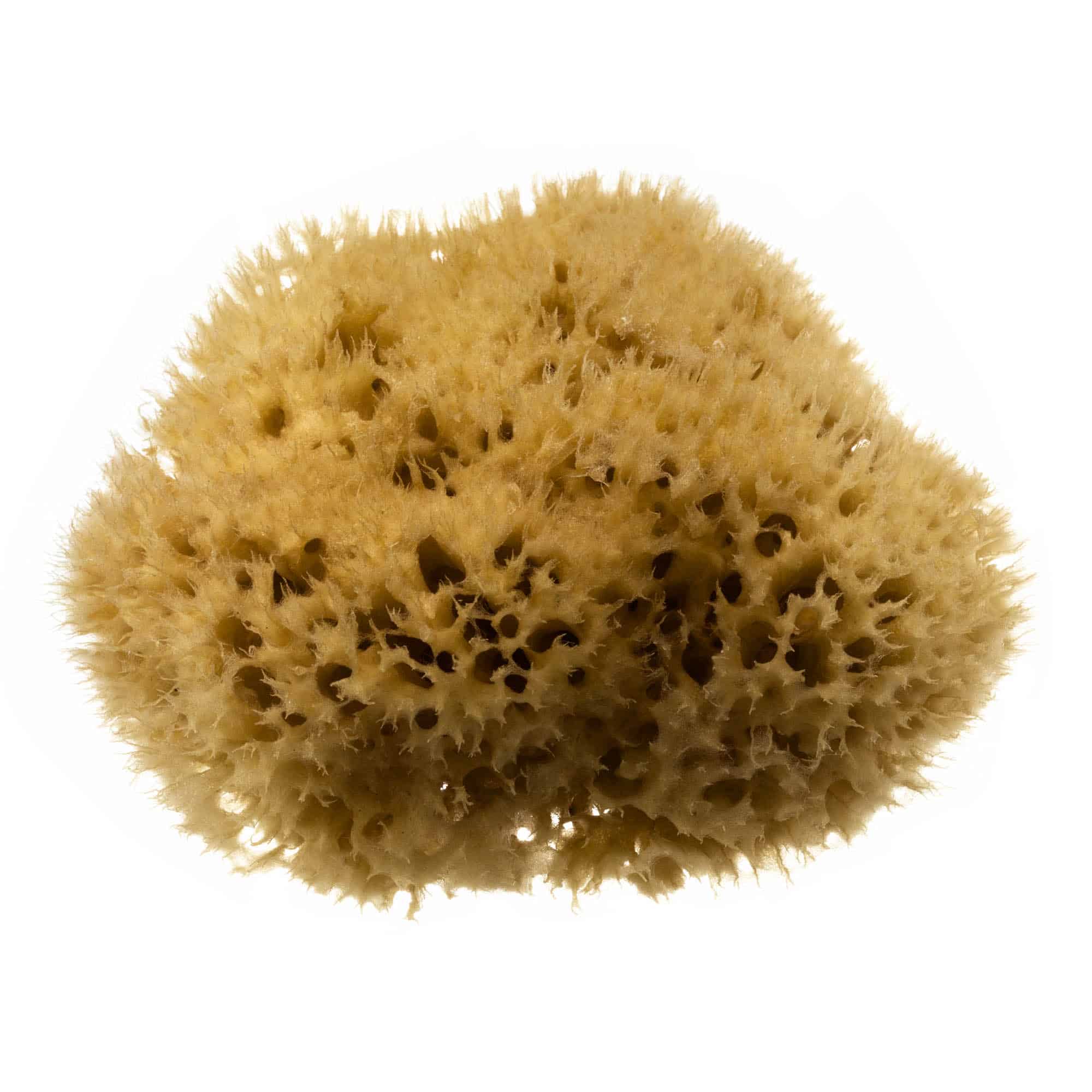 Honeycomb Med Sponge 4.5N