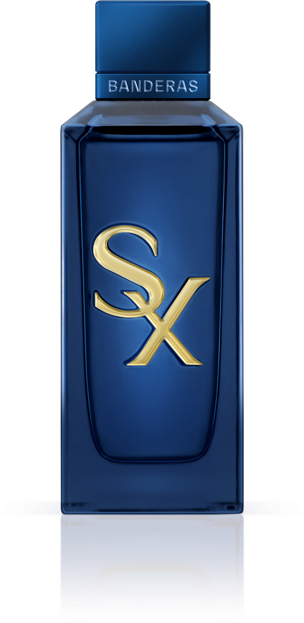 Banderas Seduction X