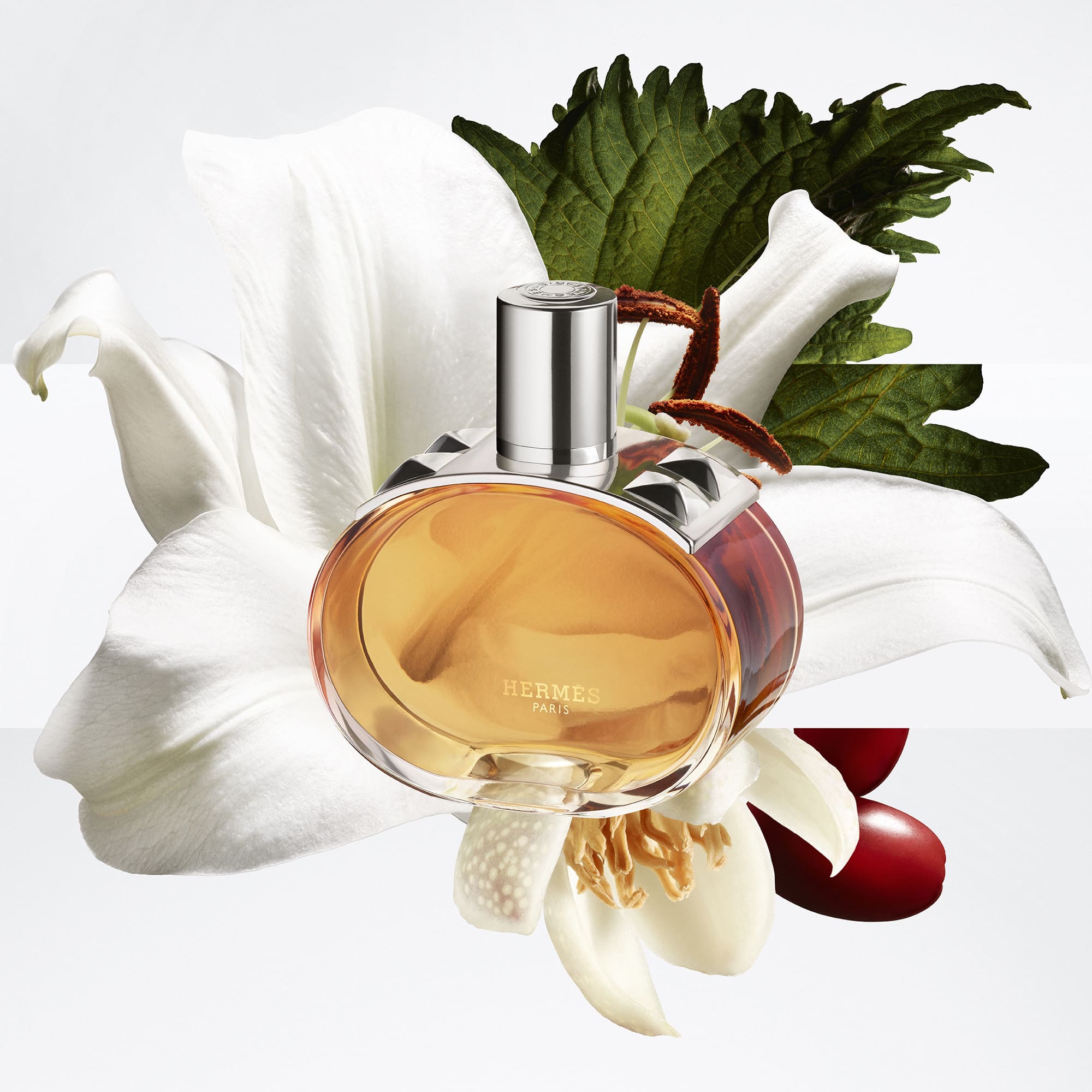 Barénia Pleine Fleur, Eau de Parfum Refill Barénia Pleine Fleur, Eau de Parfum Refill