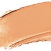 Naj Oleari Ultimate Cover Concealer Complexion