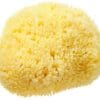 Hydrea London Honeycomb Mediterranean Sponge 5.5w Bath & Body