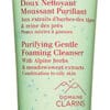 Clarins Purifying Gentle Foaming Cleanser Clarins