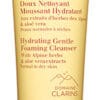 Clarins Hydrating Gentle Foaming Cleanser Clarins