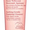 Clarins Soothing Gentle Foaming Cleanser Clarins