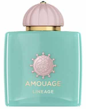 Amouage Lineage What's New