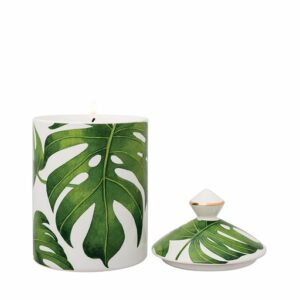 StoneGlow Urban Botanics Coconut Lime Zest Scented Candle Accessories