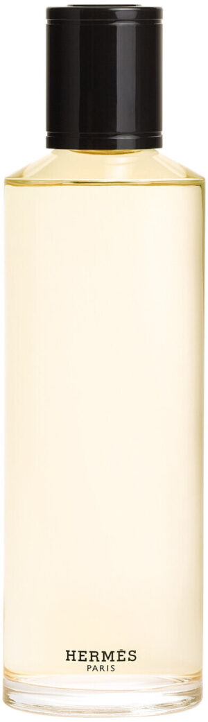 Terre d’Hermès Eau de Parfum Intense Refill For Men